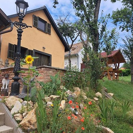 Macskajaj Vendeghaz Villa Mecseknadasd Ngoại thất bức ảnh