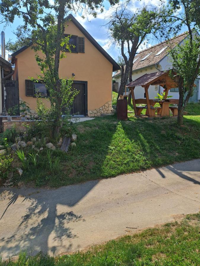 Macskajaj Vendeghaz Villa Mecseknadasd Ngoại thất bức ảnh