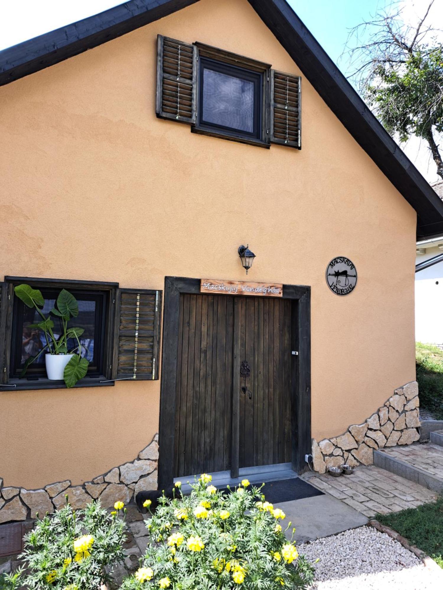 Macskajaj Vendeghaz Villa Mecseknadasd Ngoại thất bức ảnh